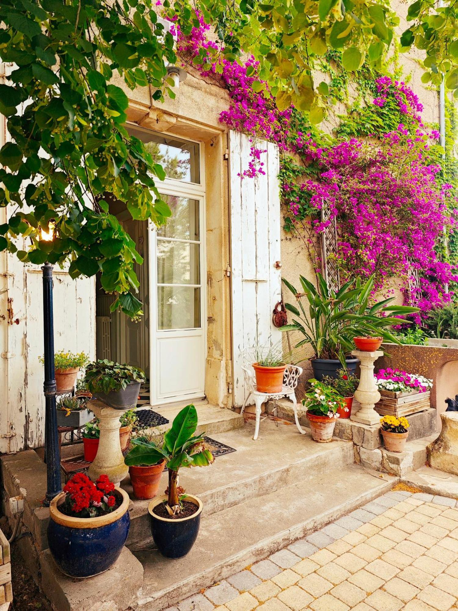 Maison Matisse Saint-Nazaire-d'Aude 外观 照片